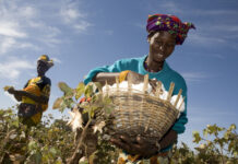 40th Farmers’ Day: GAWU calls on political parties to prioritise concerns of farmers