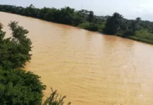 GRASAG to join walk against galamsey by catholic bishops