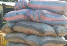 The cocoa situation is self-inflicted, govt must apologise to the farmers – Dr Abdul-Kabiru Mahama