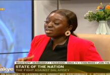 ‘Don’t sell your vote for fried rice or t-shirt’ – Democracy Hub’s Felicity Nelson urges youth