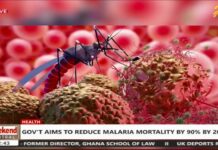 Ghana aims to reduce malaria mortality by 90% by 2028 – Ghana Health Service