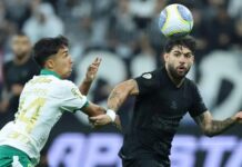 Pig’s head thrown on pitch during derby in Brazil