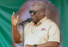 Some views may be extreme, but they are permissible in a democracy – Edudzi on calls for 3rd term for Mahama