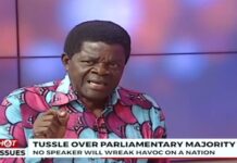 ‘NPP caucus is shooting itself in the foot’ over vacant seats controversy – Ansa-Asare
