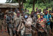 Signing a peace pact is a waste of time if we do not stop militias from functioning – Nyaho-Tamakloe