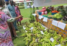 National Farmers’ Day celebration kicks off at Efua Sutherland Children’s Park