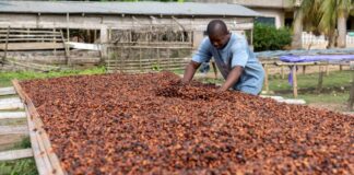 COCOBOD Board of Directors waive sitting allowances to support cocoa sector reforms