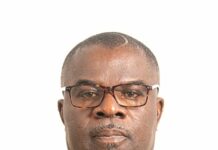 Oil palm export could create millions of jobs – Oro CEO