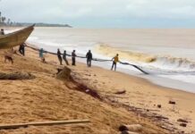 World Fisheries Day: Galamsey activities affecting fishing at Anlo Beach in Shama