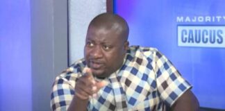 Emelia Agbenyo’s appointment as Deputy EC Chair worse than Jean Mensa’s – Nana B