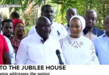 Digitalisation helped Bawumia to announce his defeat before EC – Ricketts-Hagan