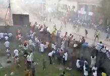 Dozens killed in crush at Guinea football match