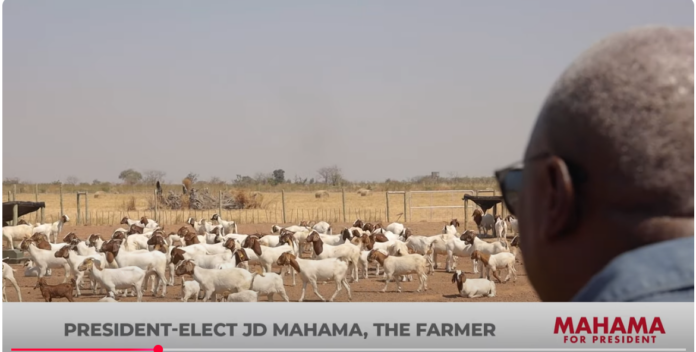 Mahama farming1