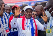 NPP National Chairman Stephen Ntim steps down temporarily over health issues