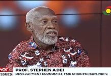 Ghana needs leadership that prioritises development strategy over party loyalty – Prof Adei
