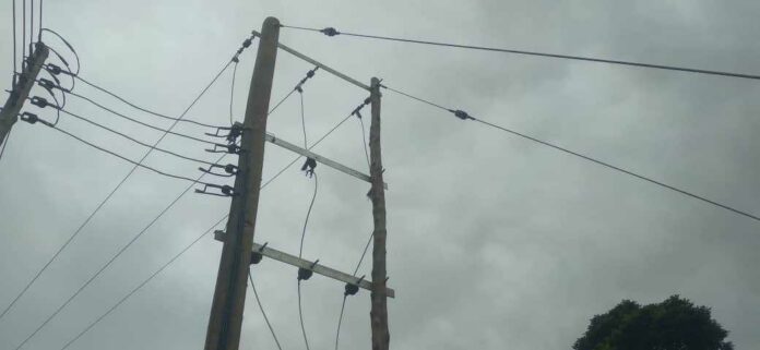 ECG cable