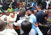Ministerial vetting chaos: Minority MPs disregarded the authority of the Chairman – Ablakwa