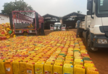 Immigration intercepts over 1000 bags of smuggled cocoa beans