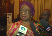 The allegations were not strong enough to warrant Torkornoo’s removal – Sophia Akuffo
