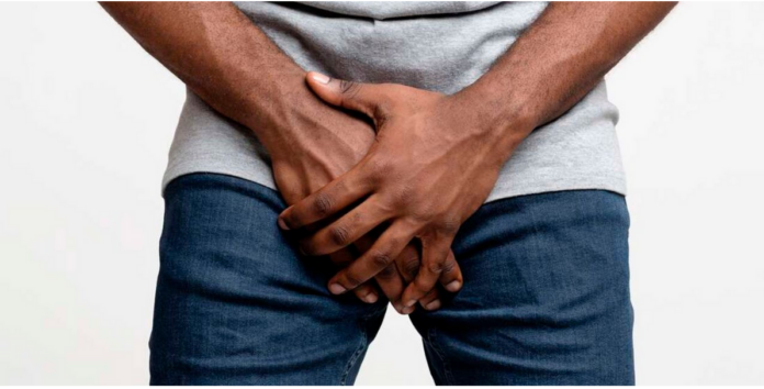 Testicles