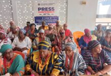 UWR: Female Traditional Leaders Association bemoans exclusion of Women in MMDCE shortlist