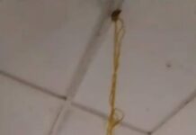 13-year-old reportedly commits suicide in Koforidua