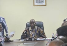 8 regions to pilot ‘Irrigation for wealth creation’ initiative – Agric Minister