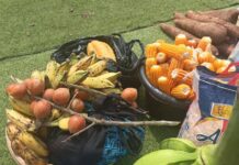 Farmers’ Day: Food wasted in Ghana in a year can feed Ashanti Region for over 18 months – 3news Research