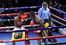 NSA to lift suspension on all boxing activities Thursday