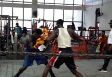 Ghana Boxing Revival: A Fight for Glory