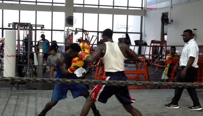 Boxing Feature1