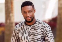 Ingenuine stories, lack of distribution channels reasons for collapse of movie industry – Fiifi Coleman