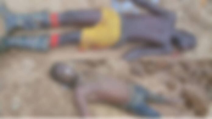 Dead bodies
