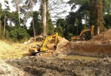 ‘Galamsey fight’: Former NDC Reg. Chair calls for 4-year mining suspension to reclaim lost lands