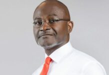 Vote Kennedy Agyapong for jobs – Leading NPP member