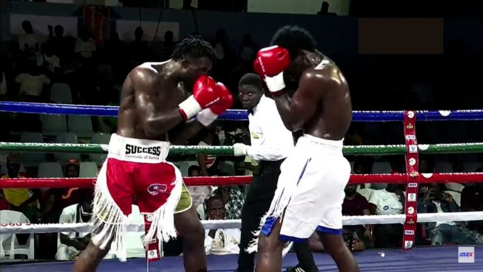 Nigerian boxer1