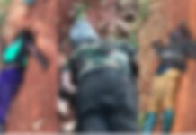Western North – Juaboso: 5 die in clash between illegal timber loggers at Sefwi Agyemadiem
