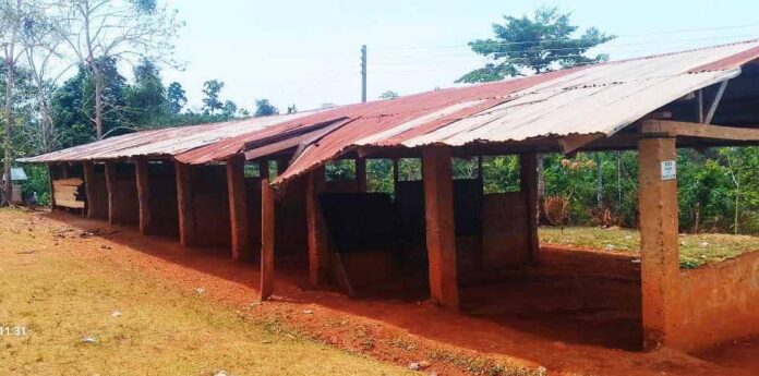 Tikobo DA Basic School