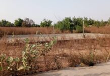 Multi-purpose sports court project in Bolgatanga abandoned for 14 years