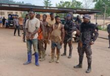 Seven nabbed over illegal mining at Akontombra