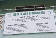 Bodi SHS Headmaster bemoans myriad challenges confronting the school during Regional Minister’s visit