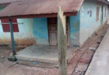 Residents of Bodi lament fallen electricity poles, demand swift restoration of power