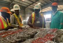 TCDA boss assures stakeholders of gov’t’s commitment to develop the sector