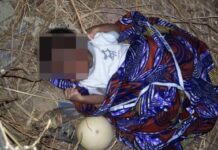 Zebilla Police receive 4-day-old baby abandoned in a pigsty