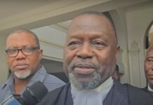 CJ’s removal: You can’t enjoin Mahama’s consultation with Council of State – Ayine tells Dame