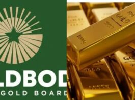 GoldBod losses in gold purchases for BoG not sustainable – Bokpin