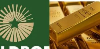 GoldBod losses in gold purchases for BoG not sustainable – Bokpin