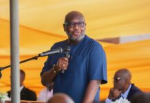 Minority demands removal of COCOBOD CEO over cocoa sector crisis