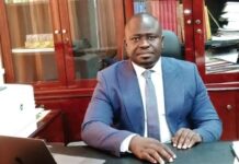 Prof Annim should have stayed as Government Statistician at least for a year or two – Theo Acheampong