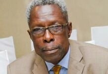 Ghana’s democracy has created a parasitic class of politicians – Tony Aidoo